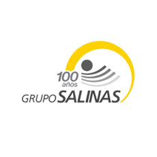 grupo_salinas